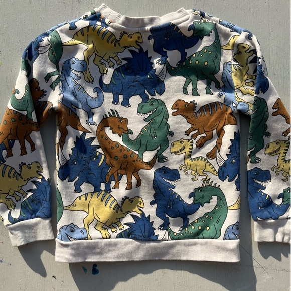 Kid's H&M Sweatshirt Multicolor Dinosaur Print 6X/7 Boy's Prehistoric Colorblock - Picture 8 of 12